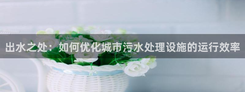 球盟会官方网页登录