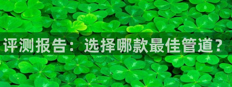 球盟会在线登录官网