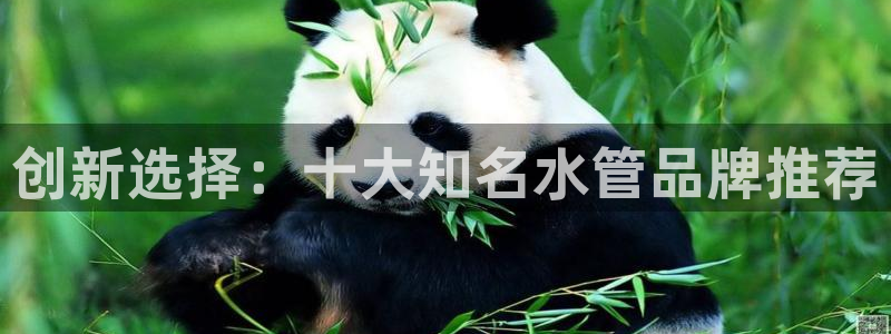 球盟会能提现吗安全吗