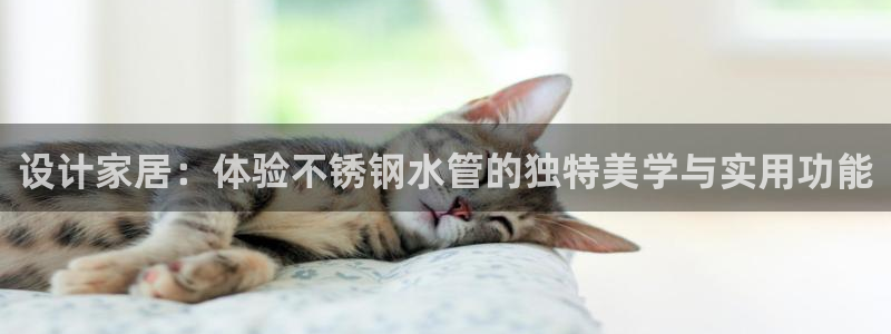 球盟会官方客服