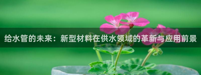 球盟会黑台子吗