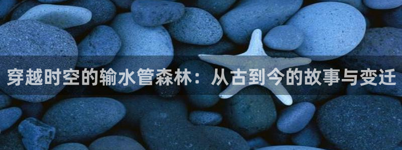 球盟会官方登录平台入口