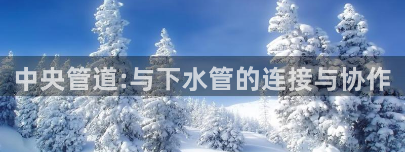 千亿球盟会乐玩