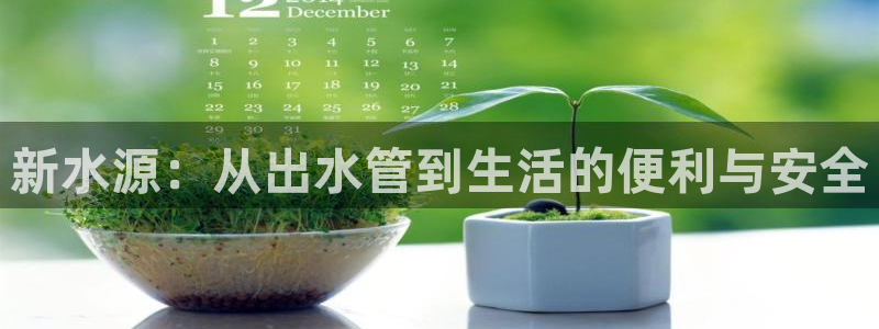 球盟会里面有打牌的嘛