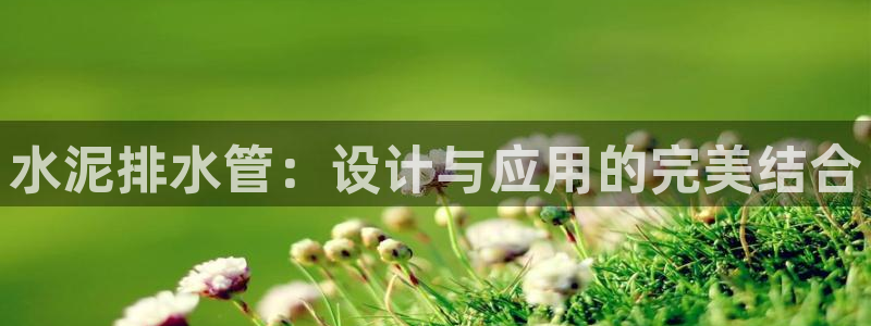 球盟会网页版登陆