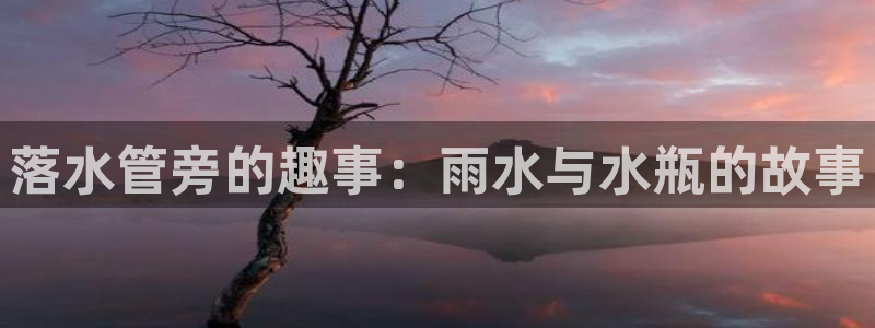 球盟会有限公司怎么样