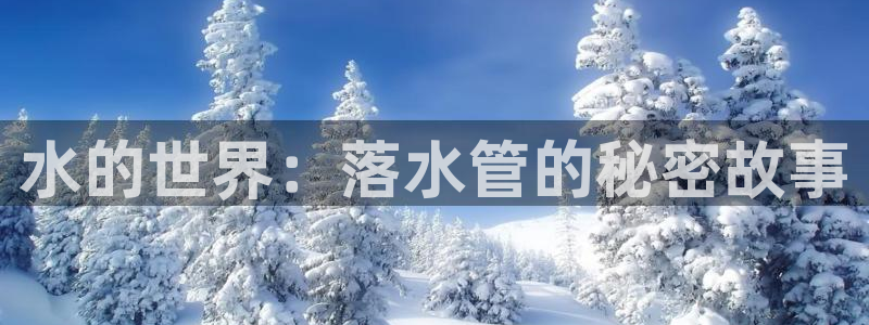 球盟会有没有黑单的球员