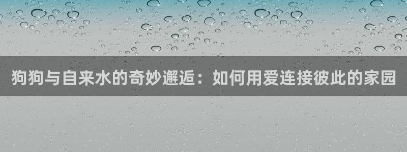 球盟会网址