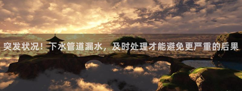 球盟会官方登录平台入口