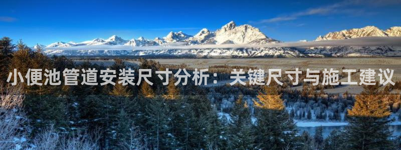 球盟会和中欧会的区别