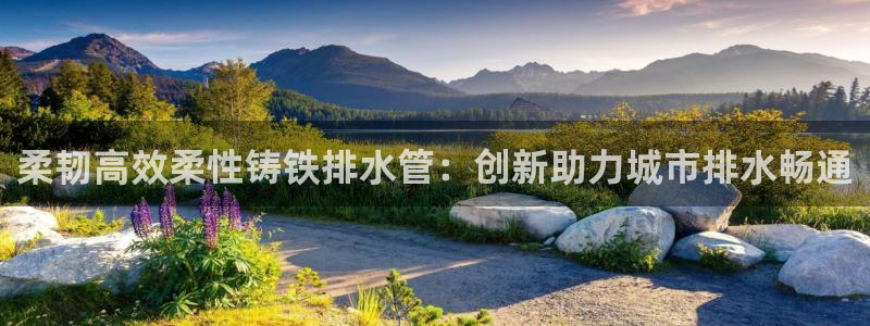 球盟会头号玩家