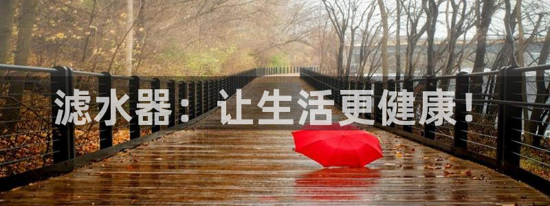 球盟会用的客服聊天是哪个软件