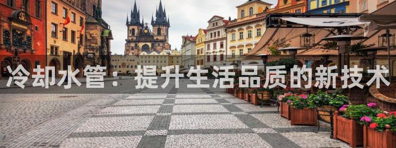 球盟会官方网址入口