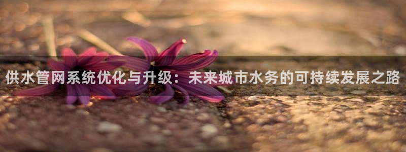 球盟会官方入口