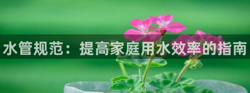 球盟会在线登录官网
