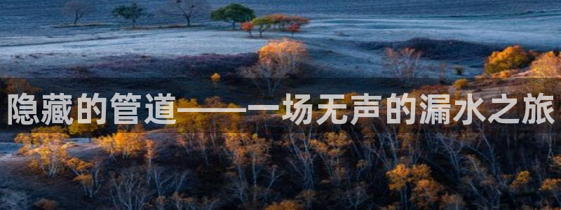 球盟会官方下载