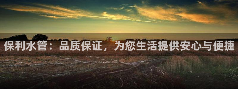 球盟会可以提现么现在