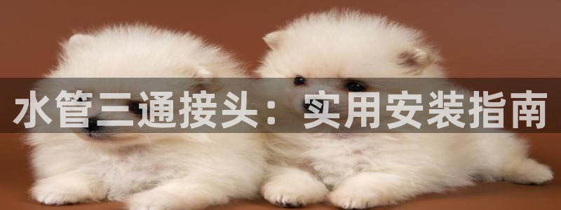 球盟会登录网址