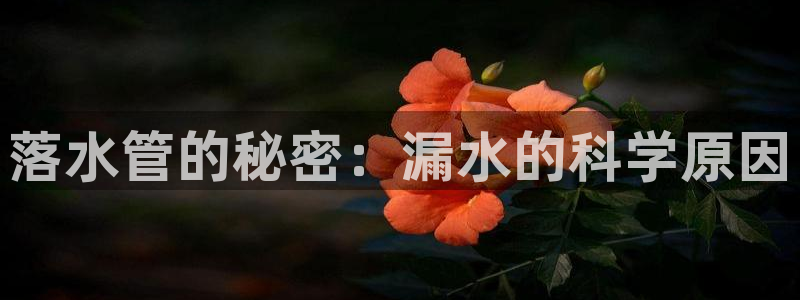 球盟会登录平台入口