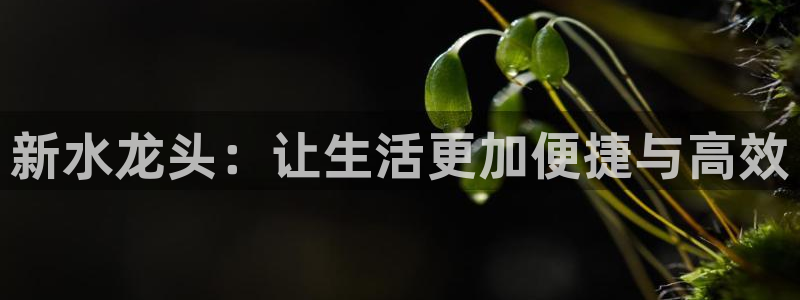 球盟会官网app下载