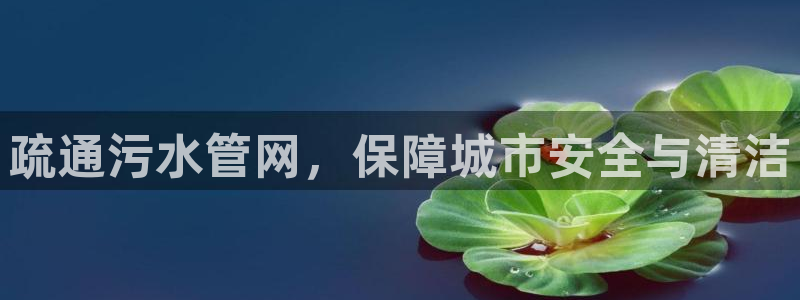 球盟会app网址多少