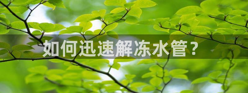 球盟会可以提现么