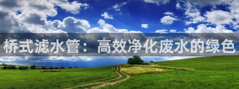 球盟会游戏几点玩合适