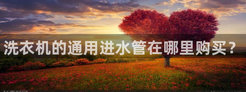 球盟会用的客服聊天是哪个软件