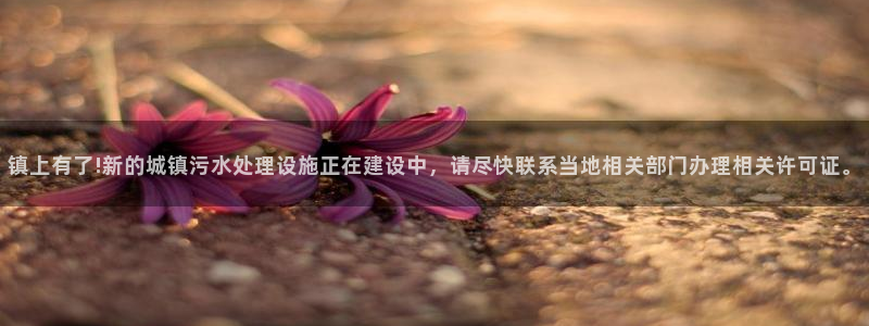 球盟会官方app首页入口