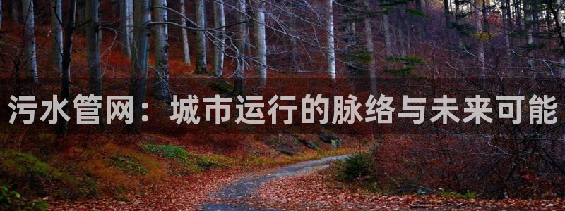 球盟会官网入口