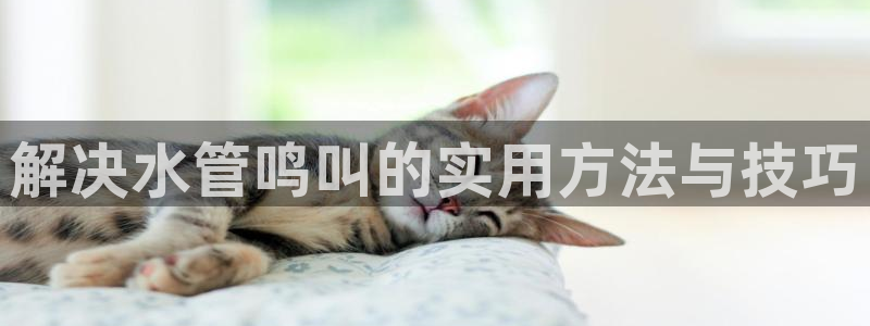 球盟会app最新地址在哪