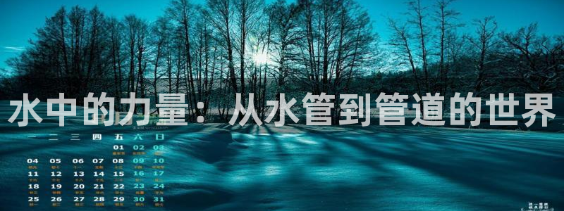 球盟会app最新地址下载