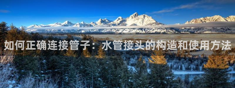 球盟会在线登录