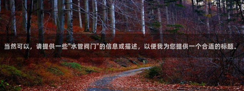 球盟会官方网站是什么