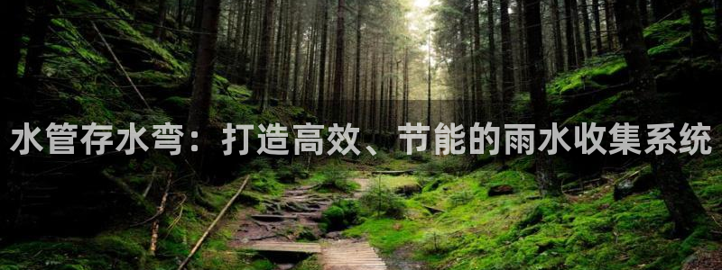 球盟会黑款吗是真的吗