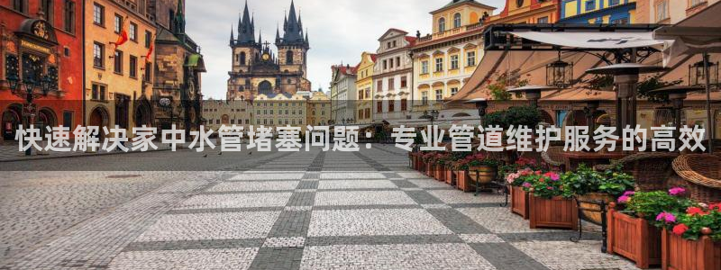 球盟会黑台子吗