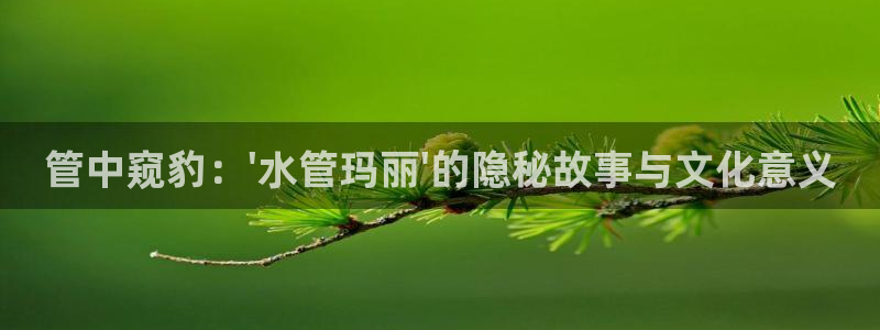 球盟会游戏几点玩合适