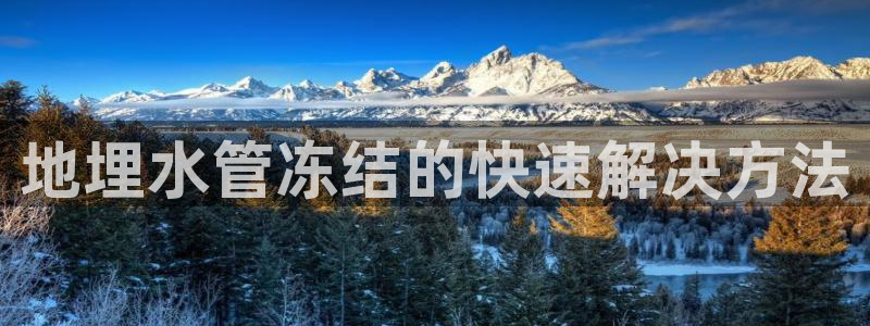 球盟会app网址多少号