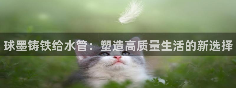 球盟会qmh电子网页版登录